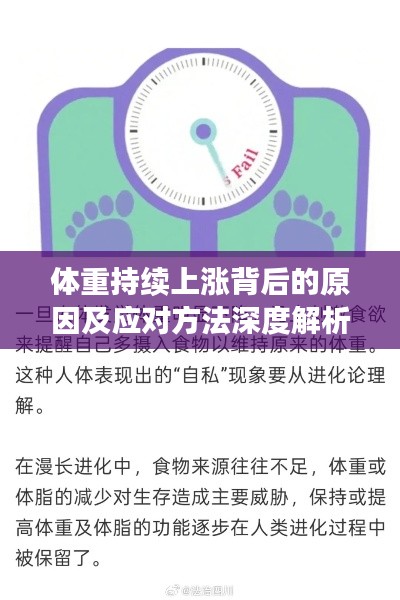 体重持续上涨背后的原因及应对方法深度解析