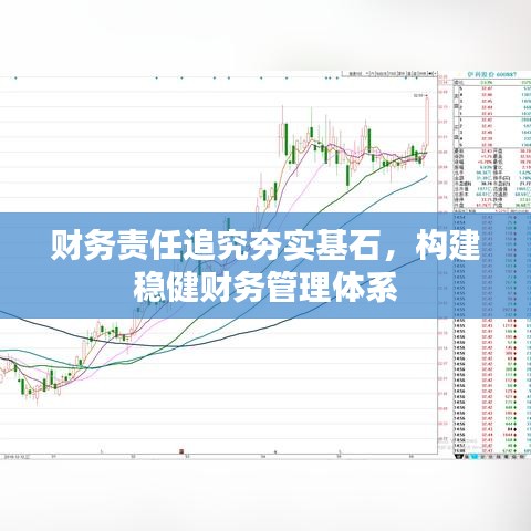 财务责任追究夯实基石,构建稳健财务管理体系