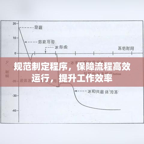 规范制定程序,保障流程高效运行,提升工作效率