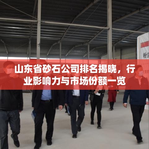山东省砂石公司排名揭晓,行业影响力与市场份额一览