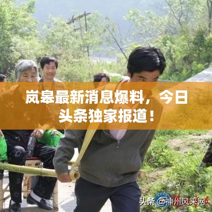 岚皋最新消息爆料,今日头条独家报道!