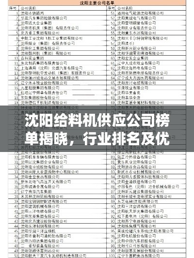 沈阳给料机供应公司榜单揭晓,行业排名及优选公司
