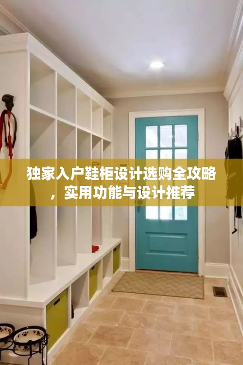 独家入户鞋柜设计选购全攻略,实用功能与设计推荐