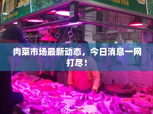 肉菜市场最新动态,今日消息一网打尽!