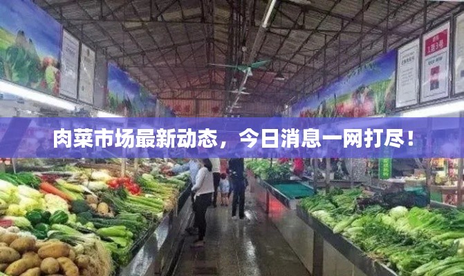 肉菜市场最新动态,今日消息一网打尽!