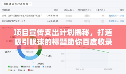项目宣传支出计划揭秘,打造吸引眼球的标题助你百度收录!