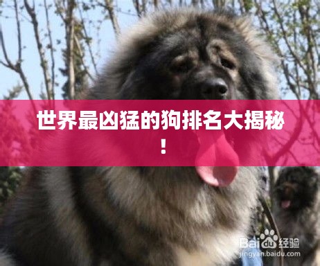 世界最凶猛的狗排名大揭秘!