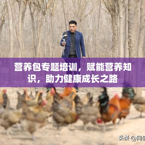 营养包专题培训,赋能营养知识,助力健康成长之路