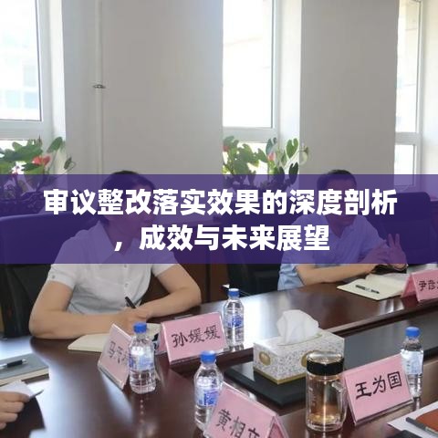 审议整改落实效果的深度剖析,成效与未来展望