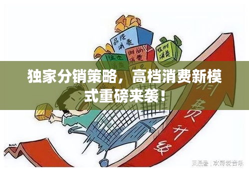 独家分销策略,高档消费新模式重磅来袭!