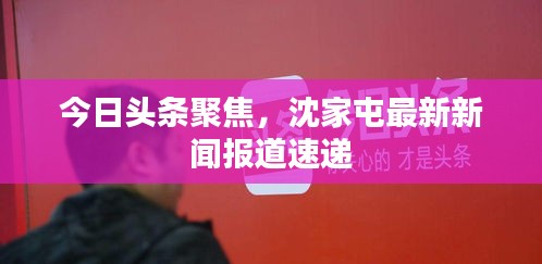 今日头条聚焦,沈家屯最新新闻报道速递