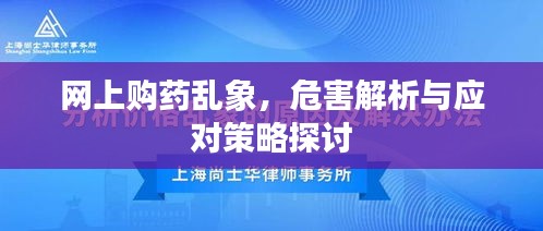 网上购药乱象,危害解析与应对策略探讨