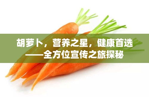 胡萝卜,营养之星,健康首选——全方位宣传之旅探秘