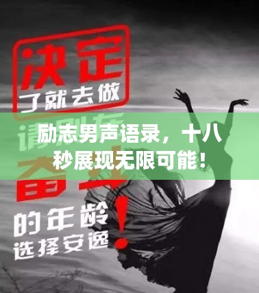 翰飞戾天 第3页
