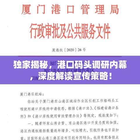 独家揭秘,港口码头调研内幕,深度解读宣传策略!