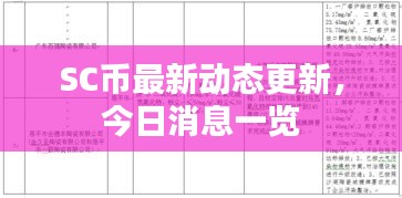 SC币最新动态更新,今日消息一览