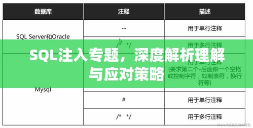 SQL注入专题,深度解析理解与应对策略