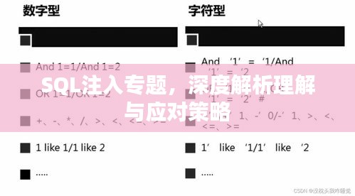 SQL注入专题,深度解析理解与应对策略