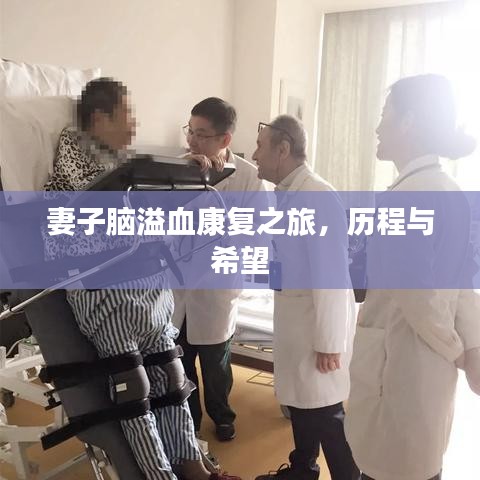 妻子脑溢血康复之旅,历程与希望