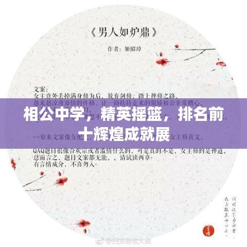 相公中学,精英摇篮,排名前十辉煌成就展