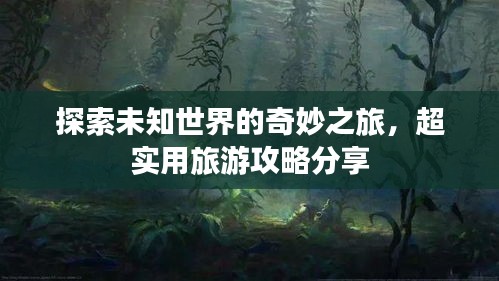 探索未知世界的奇妙之旅,超实用旅游攻略分享