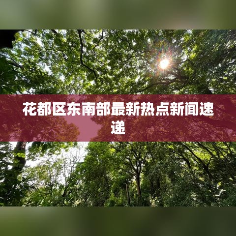 花都区东南部最新热点新闻速递