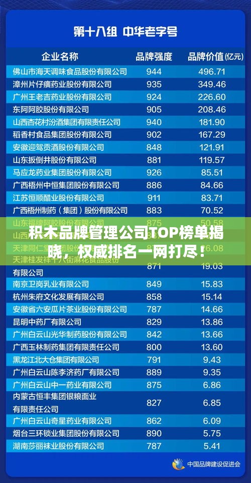 积木品牌管理公司TOP榜单揭晓,权威排名一网打尽!