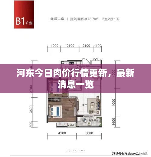 河东今日肉价行情更新,最新消息一览