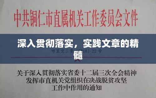 深入贯彻落实,实践文章的精髓