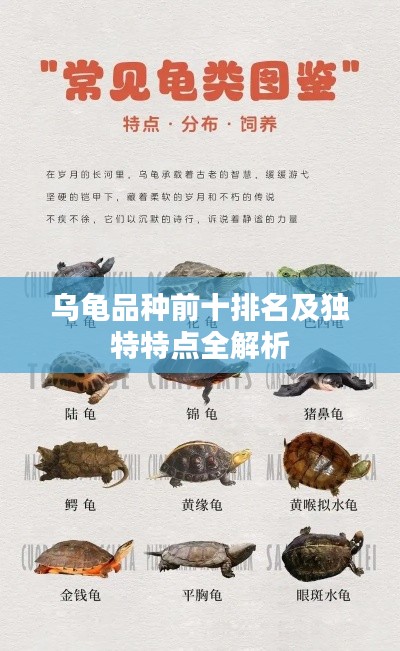 乌龟品种前十排名及独特特点全解析