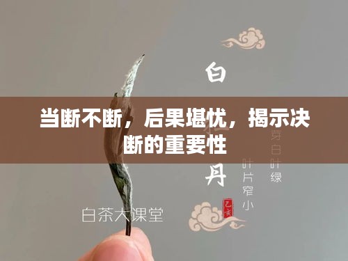 当断不断,后果堪忧,揭示决断的重要性