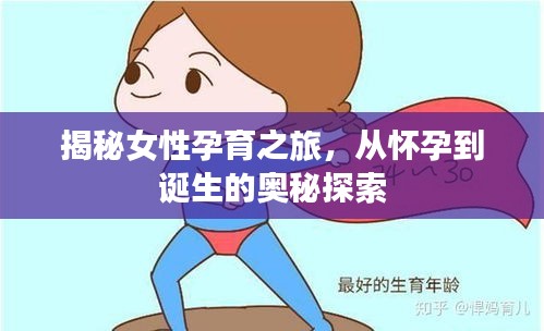 揭秘女性孕育之旅,从怀孕到诞生的奥秘探索