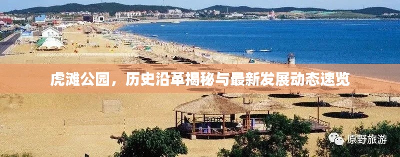 虎滩公园,历史沿革揭秘与最新发展动态速览