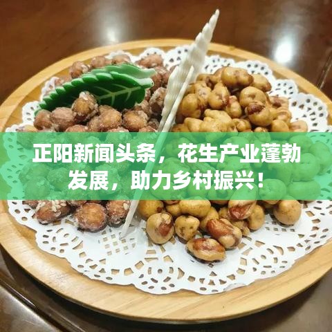 正阳新闻头条,花生产业蓬勃发展,助力乡村振兴!