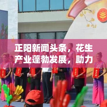 正阳新闻头条,花生产业蓬勃发展,助力乡村振兴!