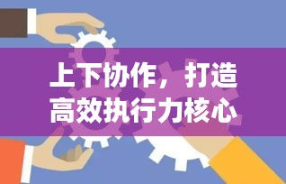 上下协作,打造高效执行力核心