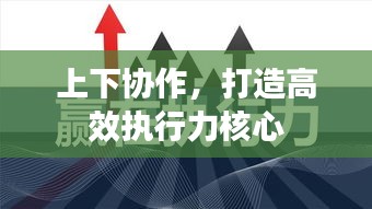 上下协作,打造高效执行力核心