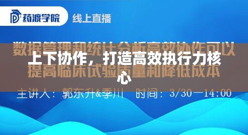 上下协作,打造高效执行力核心