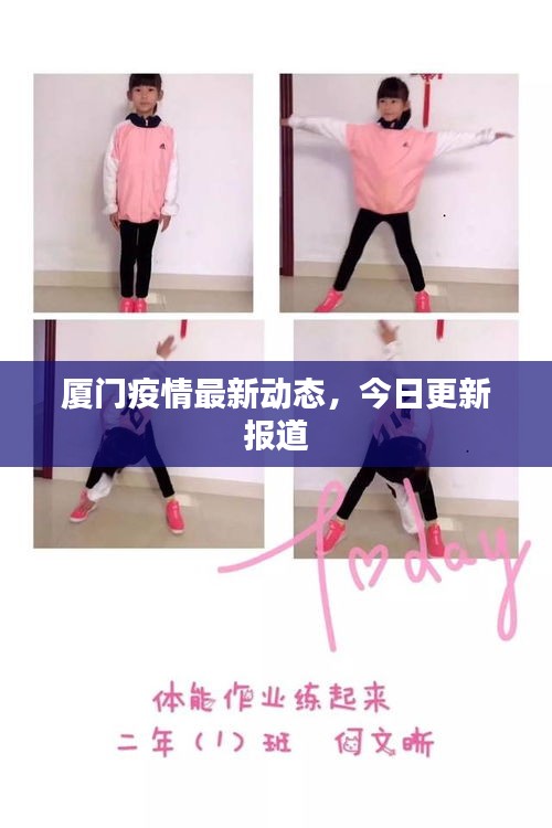 厦门疫情最新动态,今日更新报道