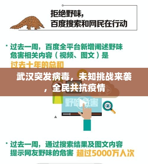 武汉突发病毒,未知挑战来袭,全民共抗疫情