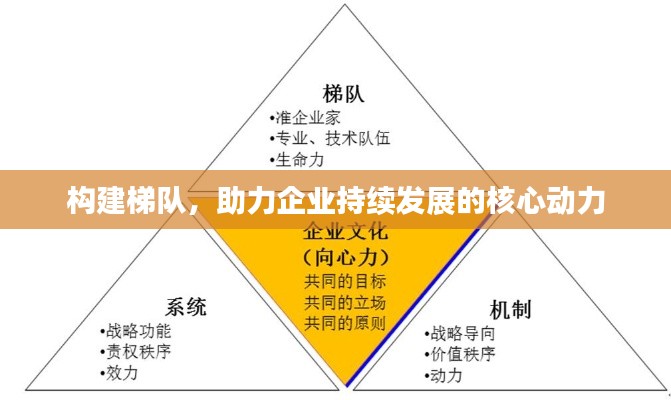 构建梯队,助力企业持续发展的核心动力