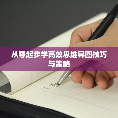 从零起步学高效思维导图技巧与策略