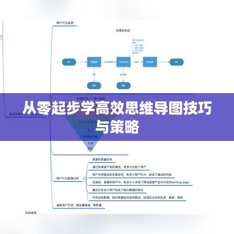 从零起步学高效思维导图技巧与策略