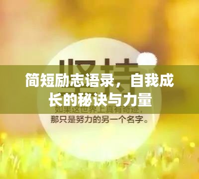 简短励志语录,自我成长的秘诀与力量