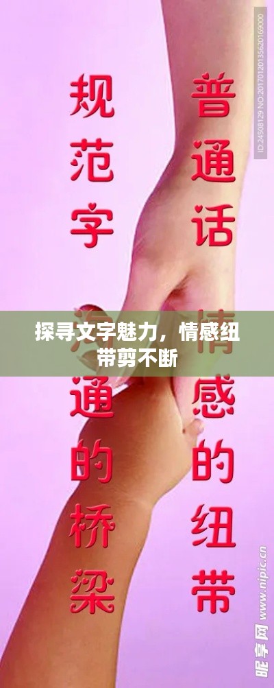 探寻文字魅力,情感纽带剪不断