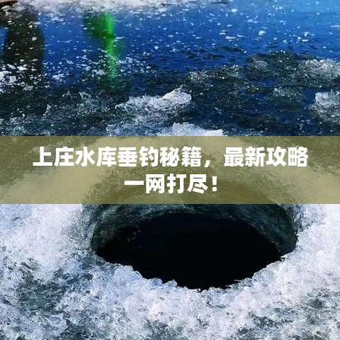 上庄水库垂钓秘籍,最新攻略一网打尽!