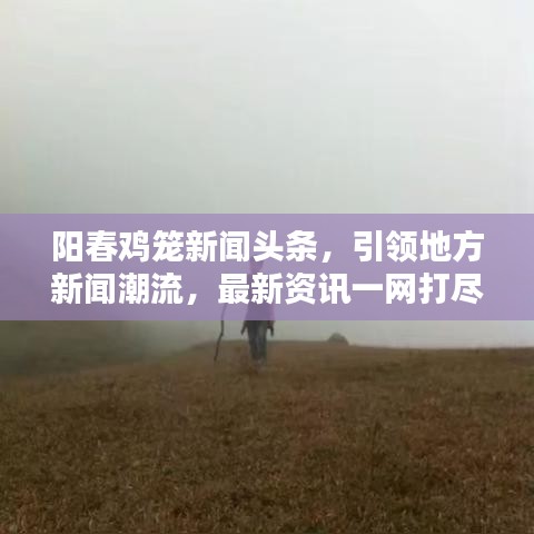 阳春鸡笼新闻头条,引领地方新闻潮流,最新资讯一网打尽