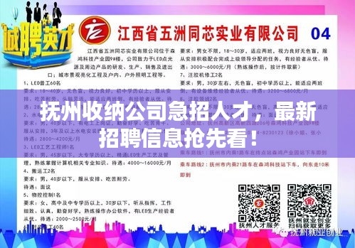 抚州收纳公司急招人才,最新招聘信息抢先看!