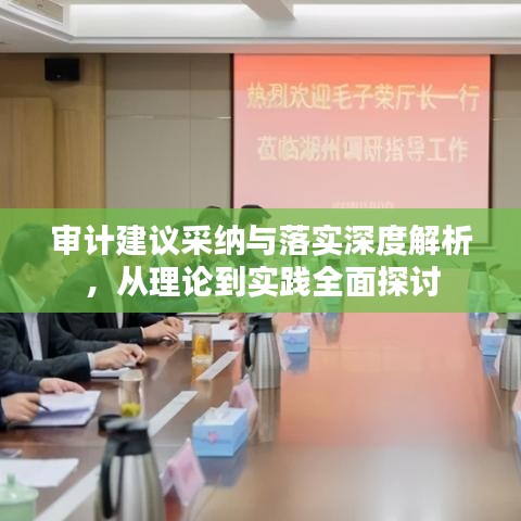 审计建议采纳与落实深度解析,从理论到实践全面探讨