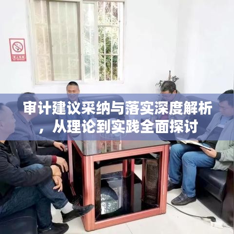 审计建议采纳与落实深度解析,从理论到实践全面探讨
